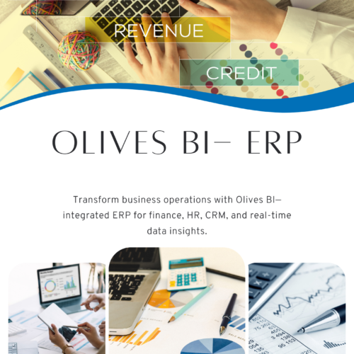 OlivesBI ERP