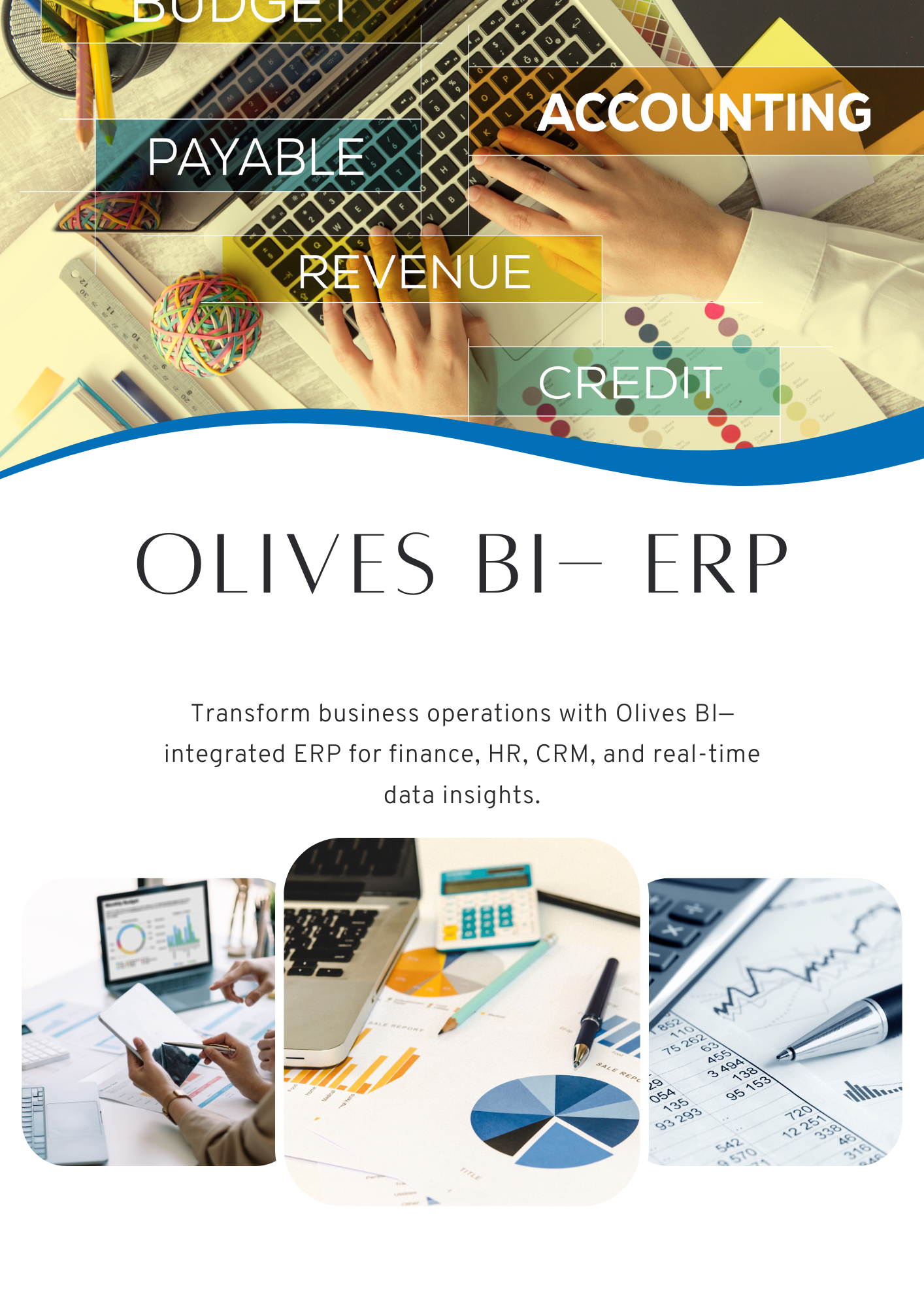 OlivesBI ERP